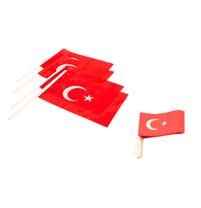 SİNO SOPALI KÜÇÜK  BAYRAK  80'Lİ *50