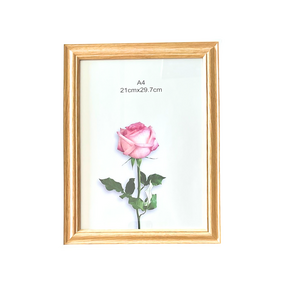 ÇEC 24-O (A4 ) ÇERÇEVE *48 >