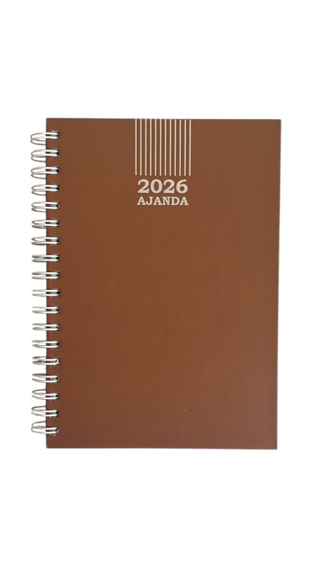 2026 AJANDA CİLTBEZLİ ÇİZGİLİ 17*24 *56